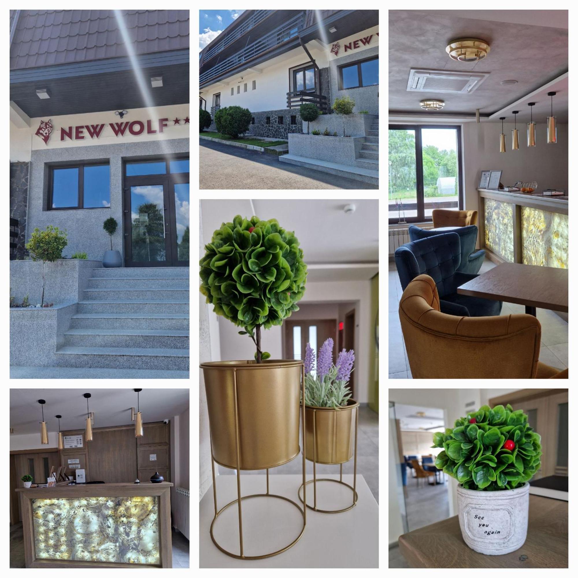 New Wolf Hotel Bran  Exterior photo