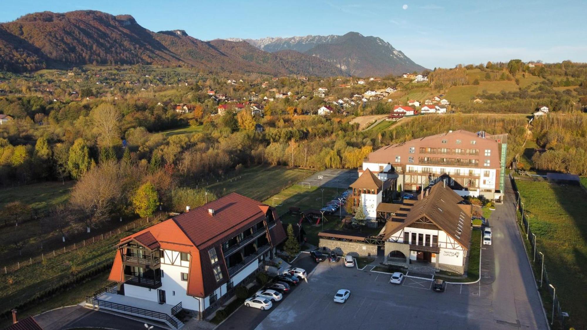 New Wolf Hotel Bran  Exterior photo